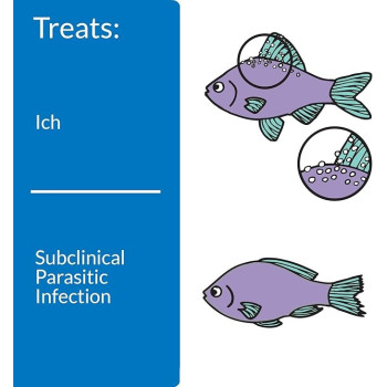 Api Liquid Super Ick Cure Freshwater And Saltwater Fish Medication, 473Ml