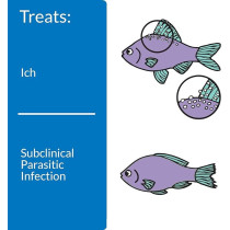Api Liquid Super Ick Cure Freshwater And Saltwater Fish Medication, 473Ml
