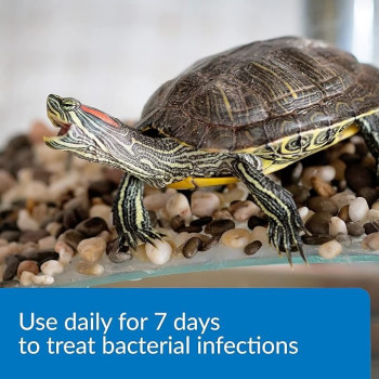 Api Turtle Fix Treats Bacterial Infection And Repairs Damaged Tissue And Wounds