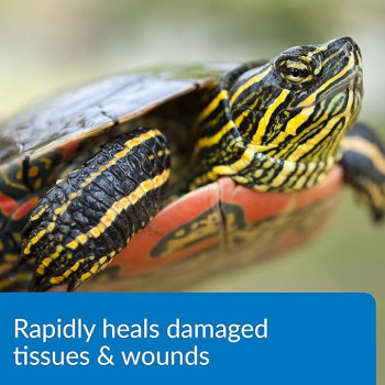 Api Turtle Fix Treats Bacterial Infection And Repairs Damaged Tissue And Wounds