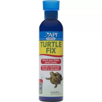 Api Turtle Products Treats...