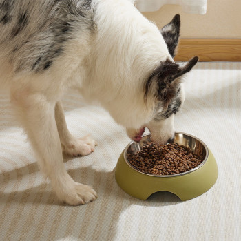 M-Pets Eco Bamboo Bowl For Dog And Cat, Olive, Large (600Ml)