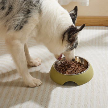 M-Pets Eco Bamboo Bowl For Dog And Cat, Olive, Medium (350Ml)