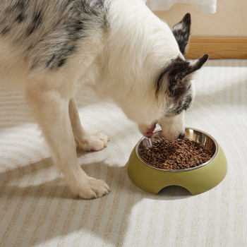 M-Pets Eco Bamboo Bowl For Dog And Cat, Olive, Small (190Ml)