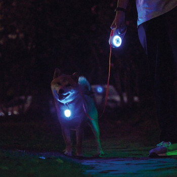 M-Pets Rechargeable LED JEWEL For Dogs, Blue