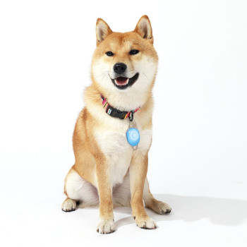 M-Pets Rechargeable LED JEWEL For Dogs, Blue