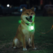 M-Pets Rechargeable LED JEWEL, For Dogs, Green