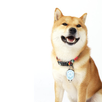 M-Pets Rechargeable LED JEWEL For Dogs, White