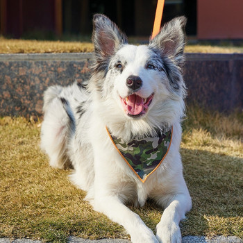 M-Pets Wild Jungle Bandana Collar For Dog And Cat, Large (2.5 x 41 -56 cm)