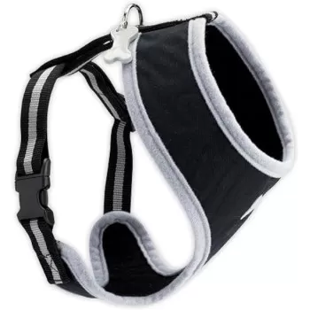 Bobby Arlequin Fancy...