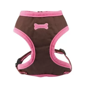 Bobby Arlequin Fancy...