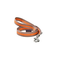 Bobby Arlequin Lead, Nylon, Taupe Colour, Small Size