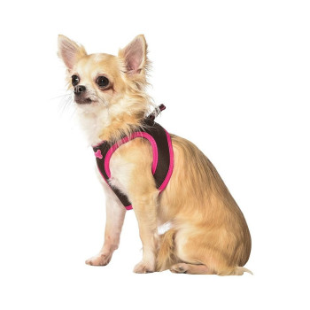 Bobby Arlequin Mini Harness, Brown And Pink, 2Xs Size