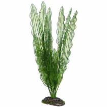 Hobby Artificial Plant For Aquarium Decor, Aponogeton, Large
