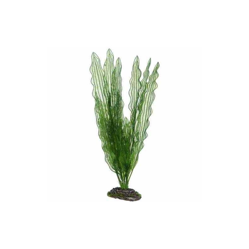 Hobby Artificial Plant For Aquarium Decor, Aponogeton, Large