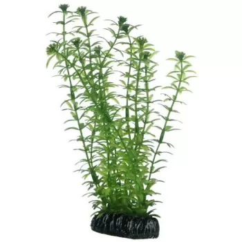 Hobby Aquarium Decor,...