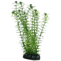 Hobby Aquarium Decor, Artificial Plant, Lagarosiphon, 20 Cm