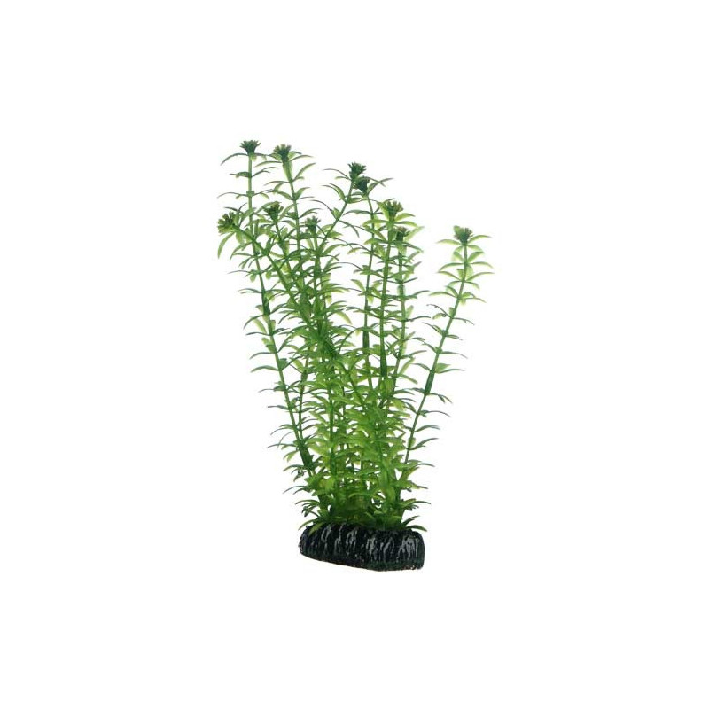 Hobby Aquarium Decor, Artificial Plant, Lagarosiphon, 20 Cm
