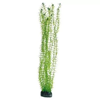 Hobby Aquarium Decor,...
