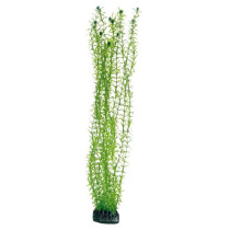 Hobby Aquarium Decor, Artificial Plant, Lagarosiphon, 60 Cm