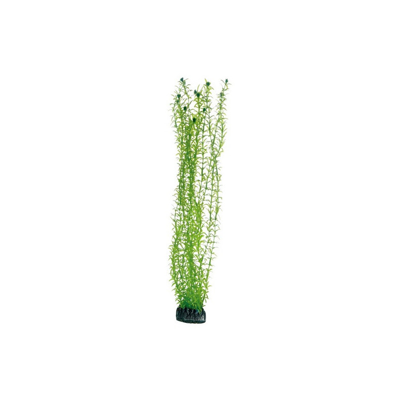 Hobby Aquarium Decor, Artificial Plant, Lagarosiphon, 60 Cm