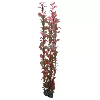 Hobby Aquarium Decor,...