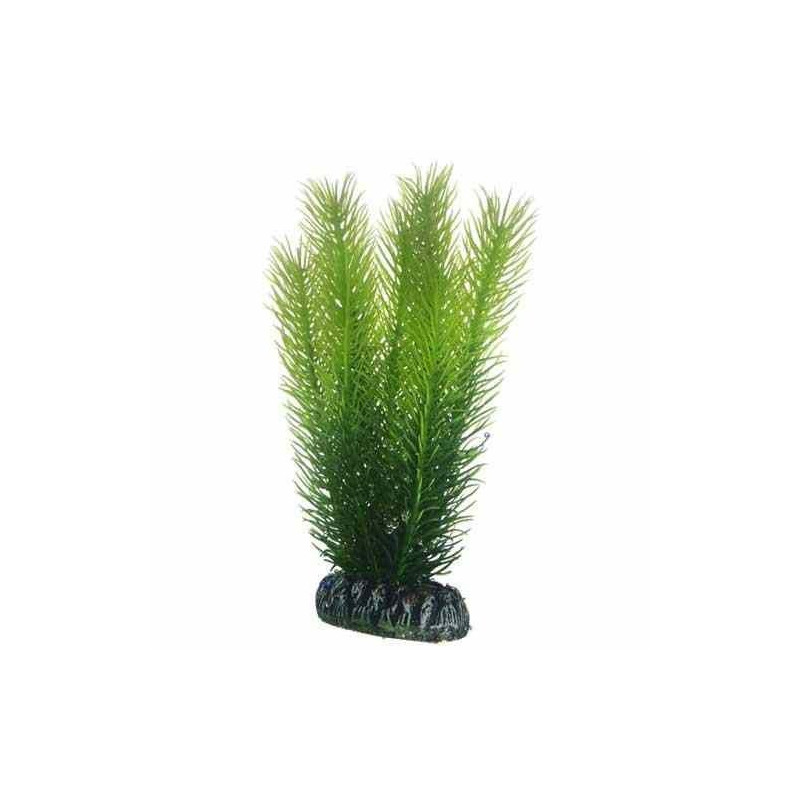 Hobby Aquarium Decor, Artificial Plant, Mayaca, Medium, 16 Cm