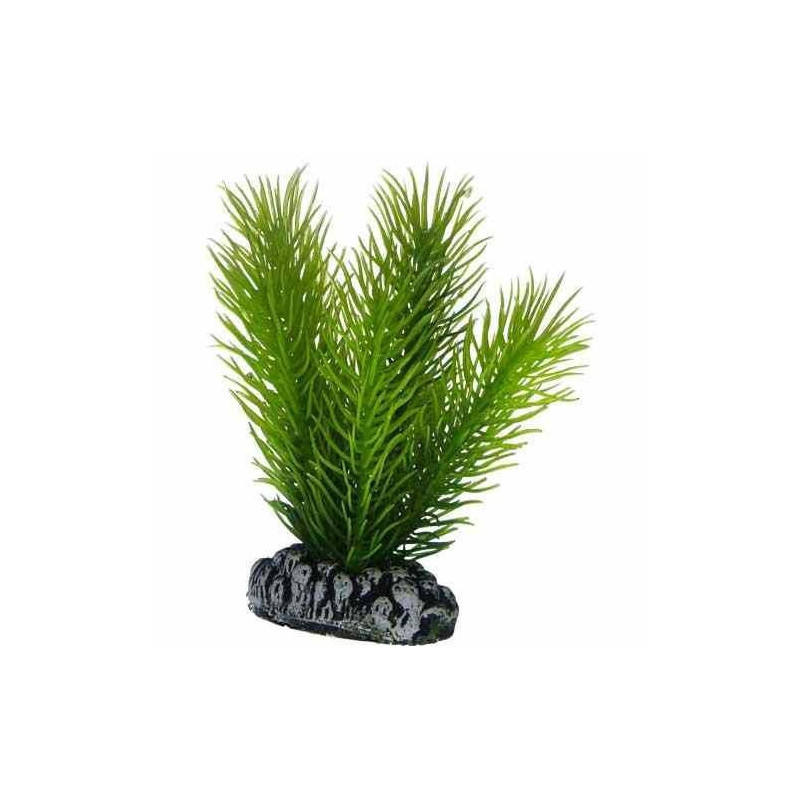 Hobby Aquarium Decor, Artificial Plant, Mayaca, Small, 7 Cm