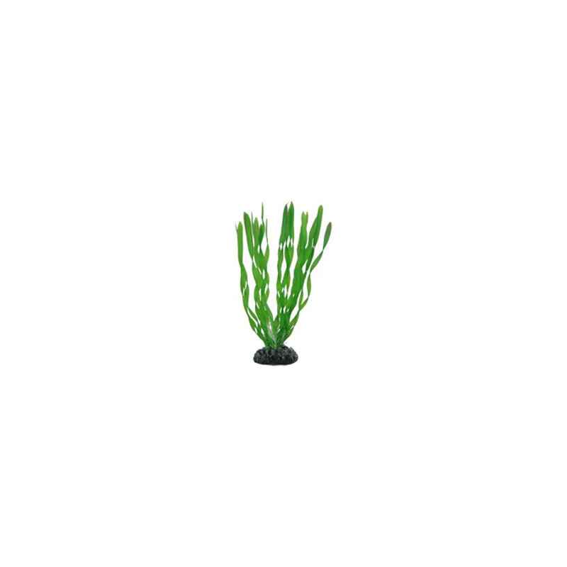 Hobby Aquarium Decor, Artificial Plant, Vallisneria, 20 Cm