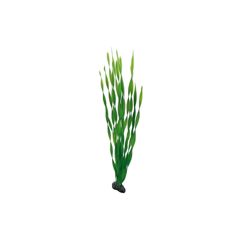 Hobby Aquarium Decor, Artificial Plant, Vallisneria, 60 Cm