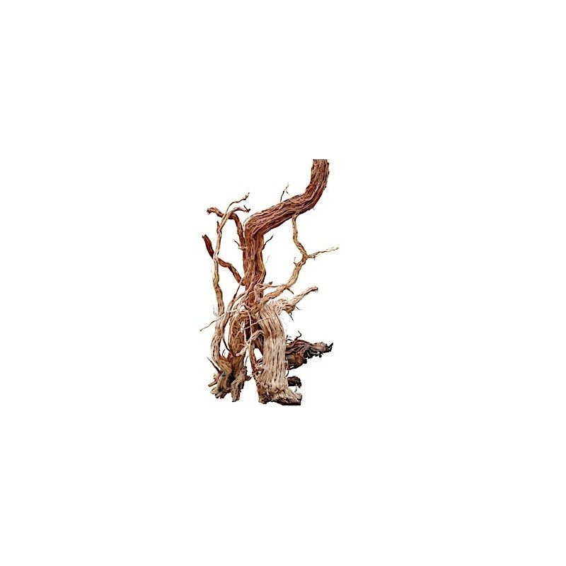 Sv Aquarium Deco Azalea Wood-S Shape, 60 To, 100 Cm