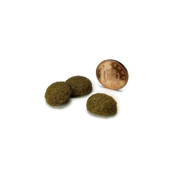 Symply Fresh 12kg Chicken Adult Large Breeds Dry Dog Food