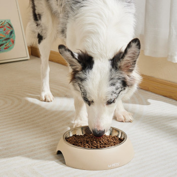 M-Pets Eco Bamboo Bowl Sand For Dog And Cat Large (600Ml)