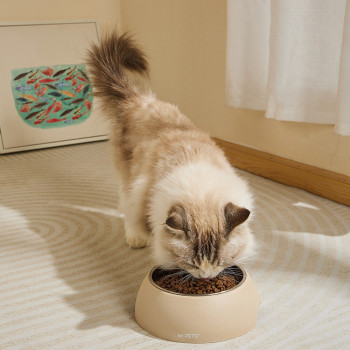 M-Pets Eco Bamboo Bowl Sand For Dog And Cat Large (600Ml)