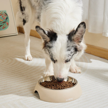 M-Pets Eco Bamboo Bowl Sand For Dog And Cat, Medium (350Ml)