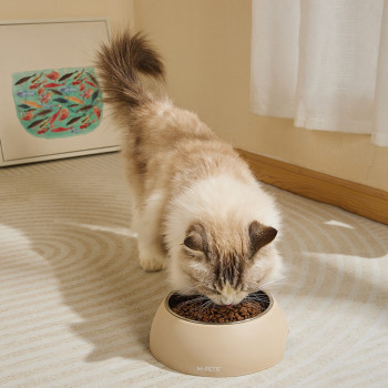 M-Pets Eco Bamboo Bowl Sand For Dog And Cat, Medium (350Ml)