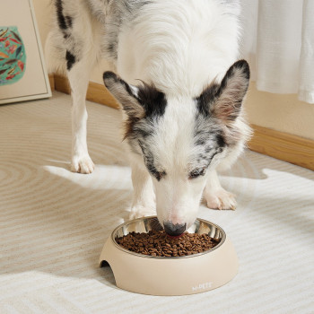 M-Pets Eco Bamboo Bowl Sand For Dog And Cat, Small (190Ml)