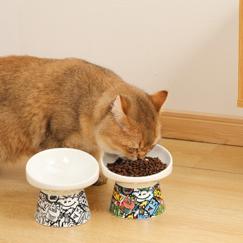 M-Pets Freestyle Tilt’D Raised Ceramic Bowl, Mixed Colour, 250Ml