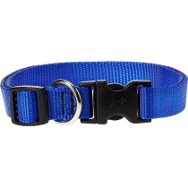 Lupinepet 15-25 Inch Basics Adjustable Collar, 3/4 Inch Width For Medium Dogs, Blue