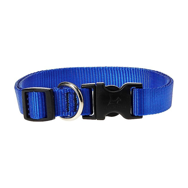 Lupinepet 15-25 Inch Basics Adjustable Collar, 3/4 Inch Width For Medium Dogs, Blue