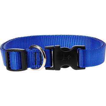 Lupinepet 9-14 Inch Basics Adjustable Collar, 3/4 Inch Width For Medium Dogs, Blue