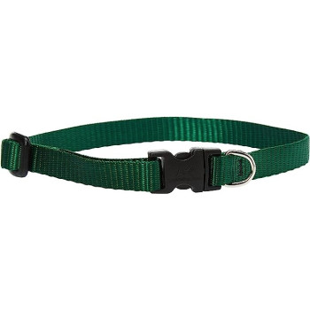 Lupinepet 10-16 Inch Basics...