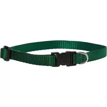 Lupinepet 10-16 Inch Basics...