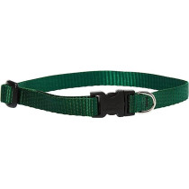 Lupinepet 8-12 Inch Basics Adjustable Collar, 1/2 Inch Width For Small Dogs, Green