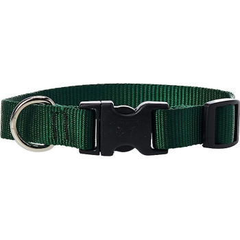 Lupinepet 9-14 Inch Basics Adjustable Collar, 3/4 Inch Width For Medium Dogs, Green