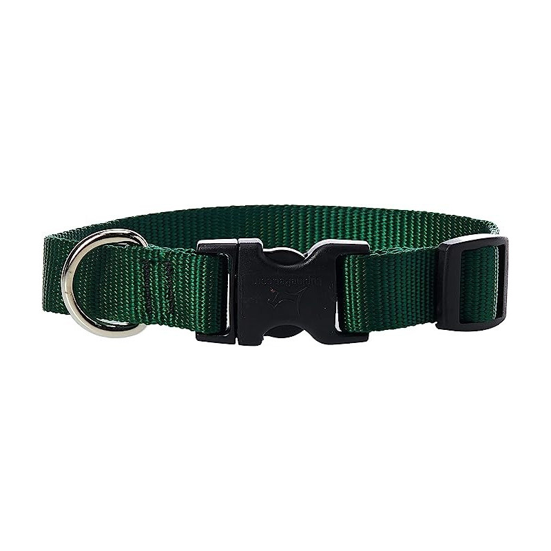 Lupinepet 9-14 Inch Basics Adjustable Collar, 3/4 Inch Width For Medium Dogs, Green