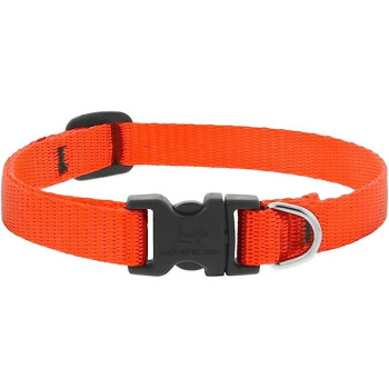 Lupinepet 8-12 Inch Basics Adjustable Collar, 1/2 Inch Width For Small Dogs, Orange
