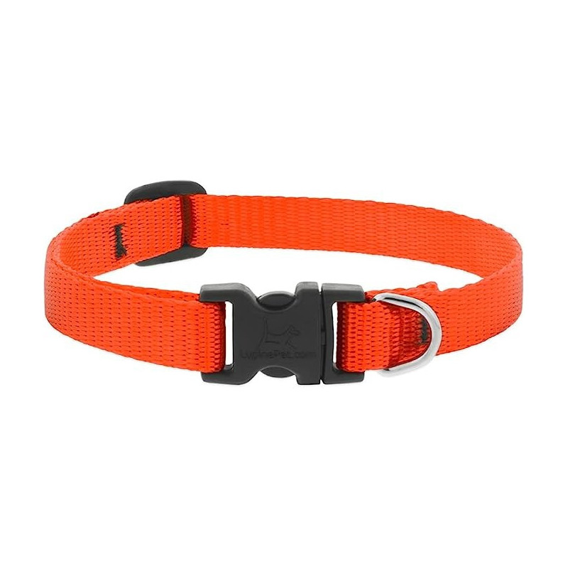 Lupinepet 8-12 Inch Basics Adjustable Collar, 1/2 Inch Width For Small Dogs, Orange