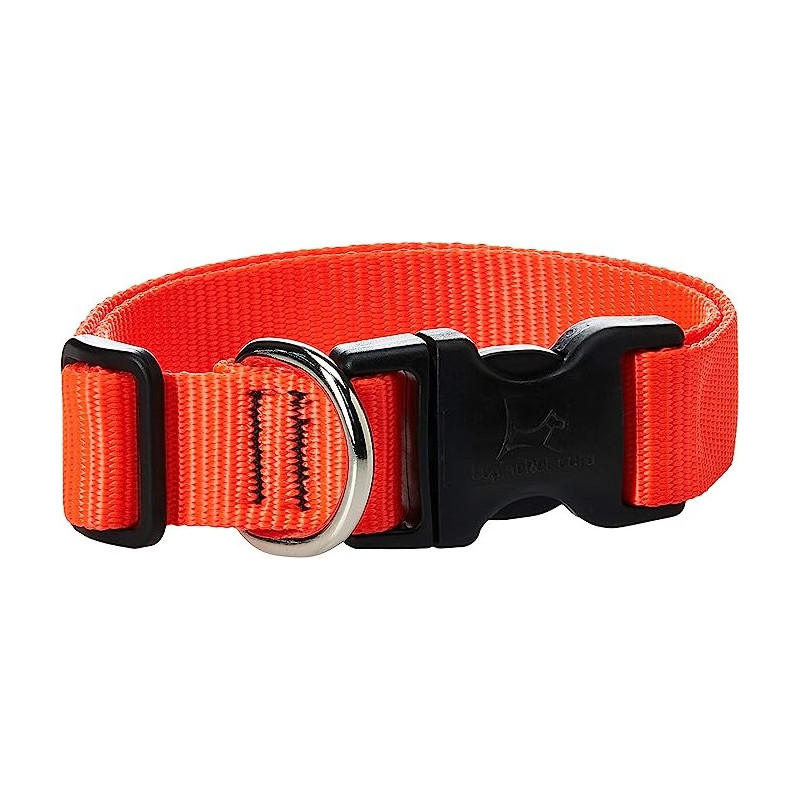 Lupinepet 12-20 Inch Basics Adjustable Collar, 1 Inch Inch Width For Big Dogs, Orange