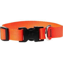 Lupinepet 13-22 Inch Basics Adjustable Collar, 3/4 Inch Width For Medium Dogs, Orange